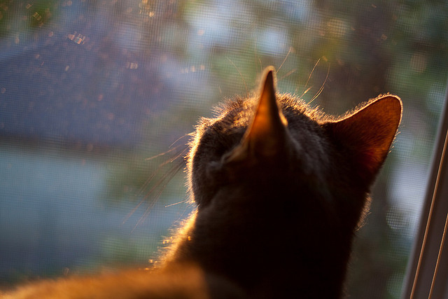 当哈登翻开后撤步课本,山西队正用钢笔画上团队战术的惊叹号