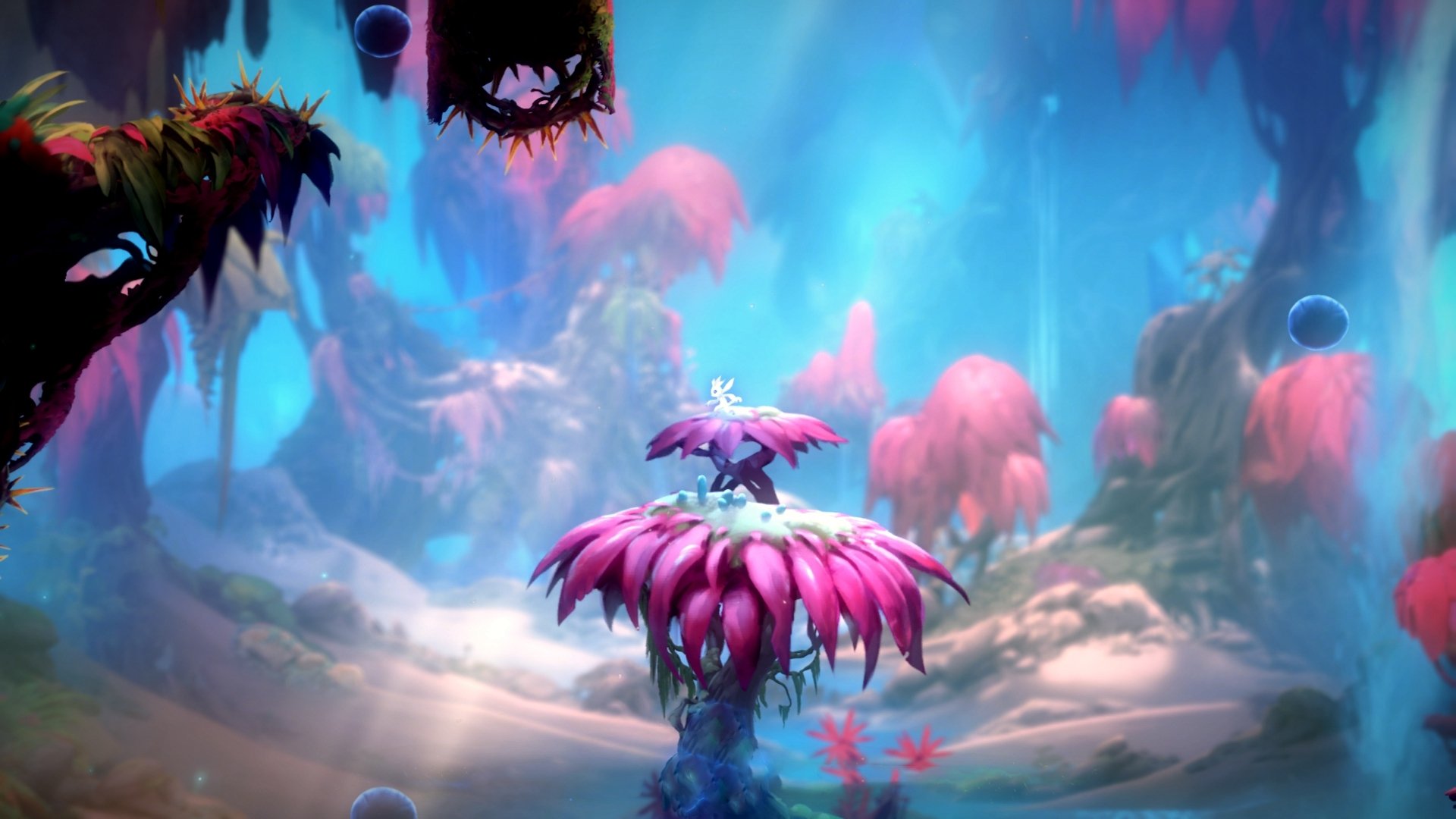 虚拟赛场上的奇迹，中国队打穿阿尔及利亚，黄喜灿跨界接管NBA总决赛