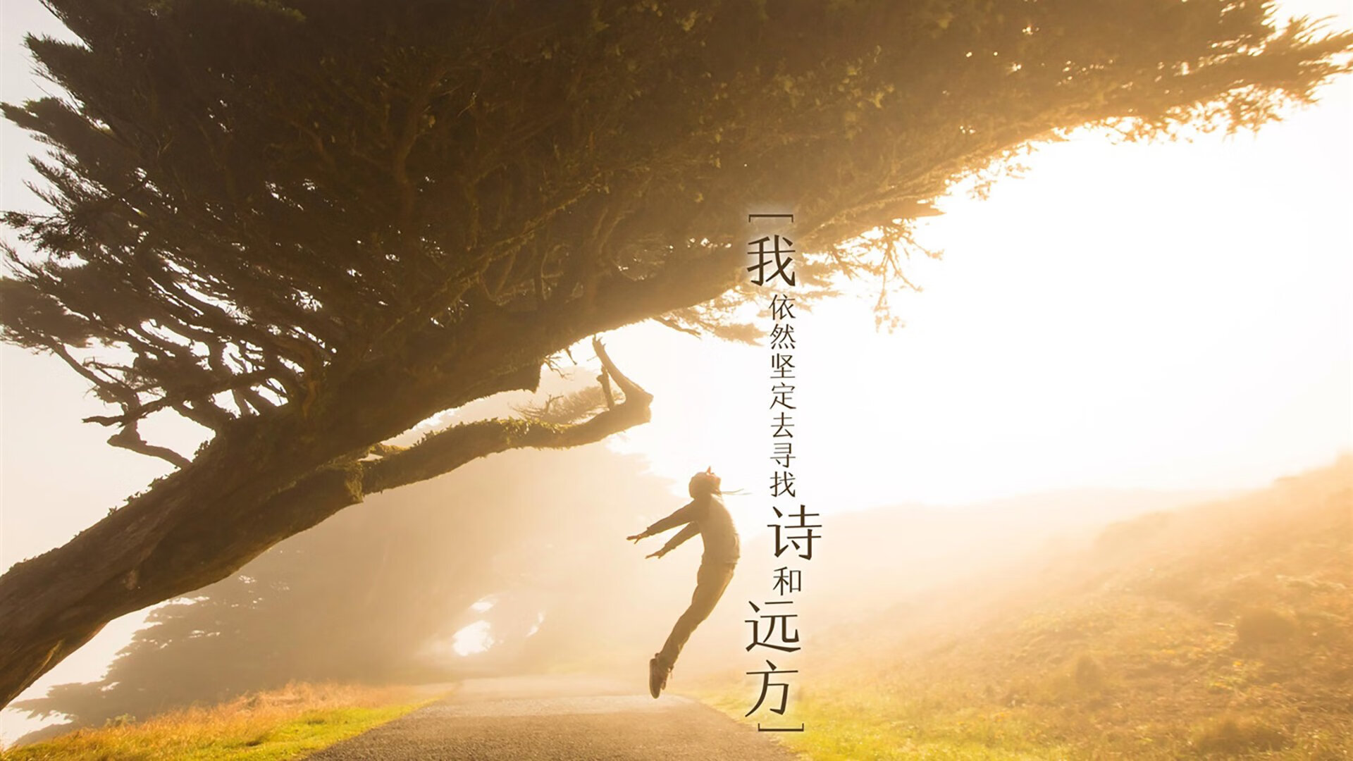 绿茵场与硬木地板的交响,当西甲国家德比之夜遇见小贾伦时间