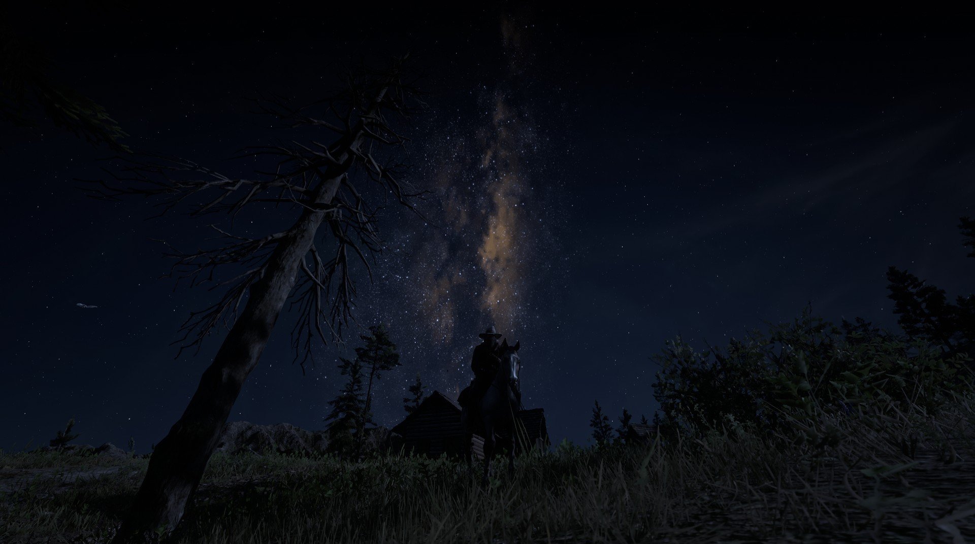 跨洋试金石，当纽约王牌穿上天山战袍