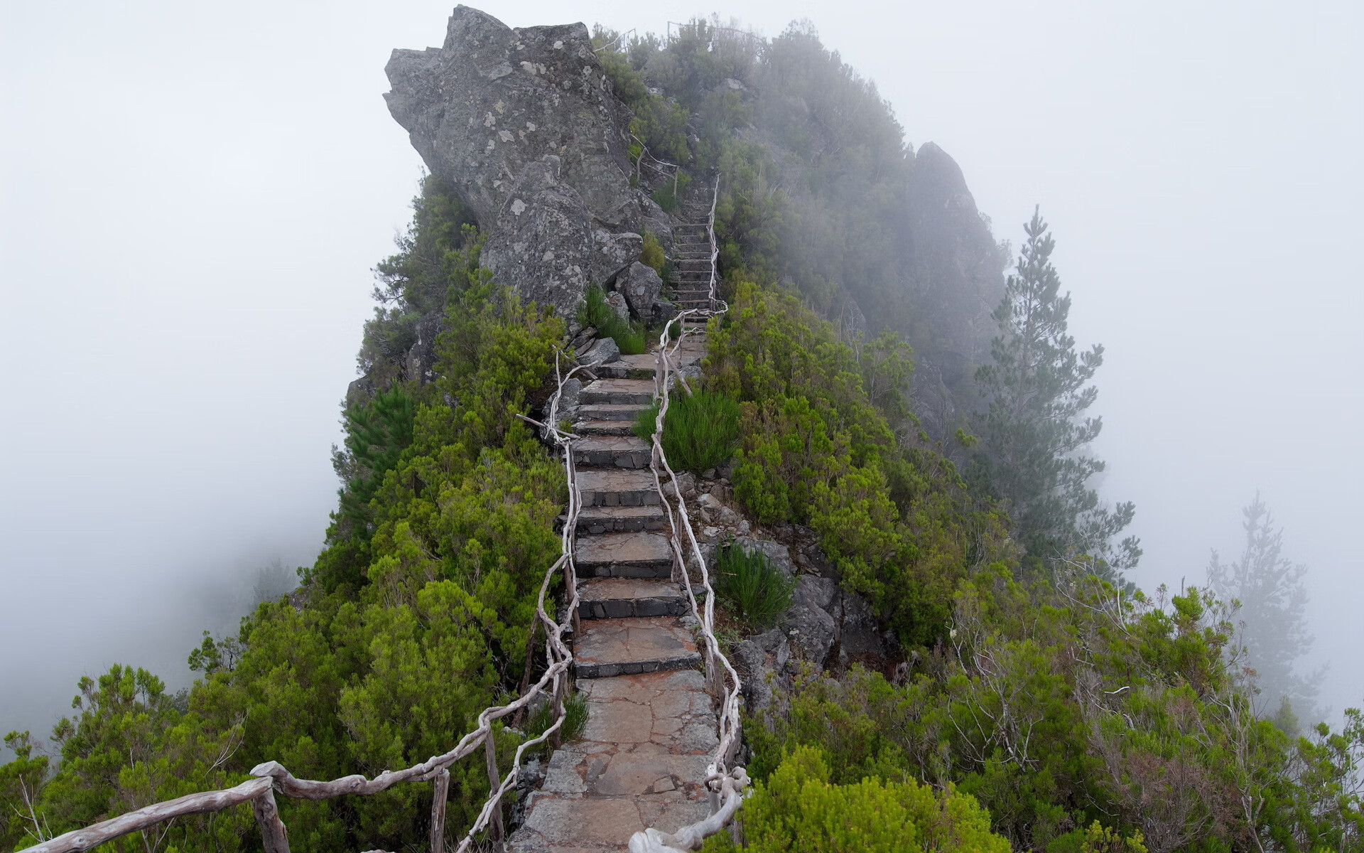 沙漠与雪山的较量，2026世界杯E组，梅西导演的紧凑史诗